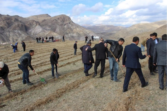 COP29 çərçivəsində Ordubadın Tivi kəndində meşəcinsli ağacların toxumlarının əkini aparılıb — FOTOLAR COP29 çərçivəsində Ordubadın Tivi kəndində meşəcinsli ağacların toxumlarının əkini aparılıb — FOTOLAR