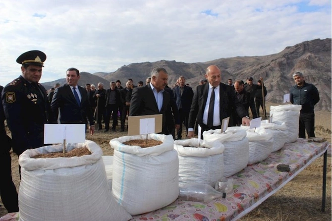 COP29 çərçivəsində Ordubadın Tivi kəndində meşəcinsli ağacların toxumlarının əkini aparılıb — FOTOLAR COP29 çərçivəsində Ordubadın Tivi kəndində meşəcinsli ağacların toxumlarının əkini aparılıb — FOTOLAR