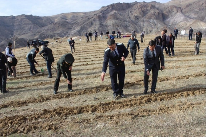 COP29 çərçivəsində Ordubadın Tivi kəndində meşəcinsli ağacların toxumlarının əkini aparılıb — FOTOLAR COP29 çərçivəsində Ordubadın Tivi kəndində meşəcinsli ağacların toxumlarının əkini aparılıb — FOTOLAR