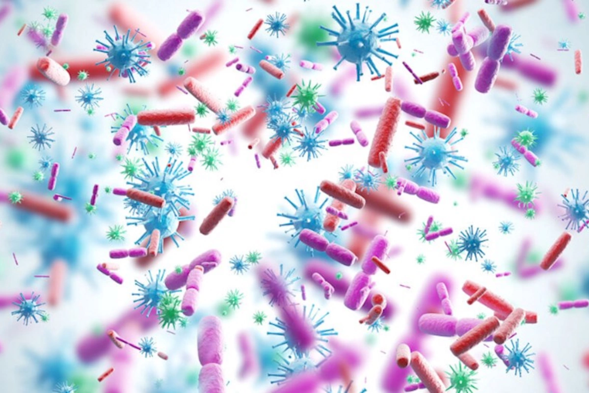 Yeni Zelandiyada göy öskürək epidemiyası elan edilib