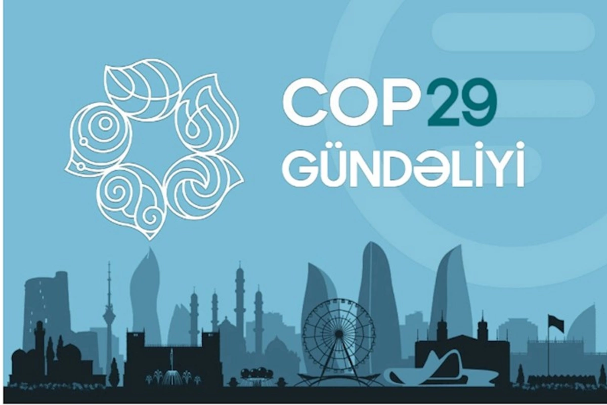 COP29 gündəliyi — 22.11.2024