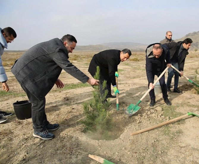 Mədəniyyət Nazirliyi Qobustan Milli Tarix-Bədii Qoruğunda yaşıllaşdırma aksiyası keçirib — FOTOLAR Mədəniyyət Nazirliyi Qobustan Milli Tarix-Bədii Qoruğunda yaşıllaşdırma aksiyası keçirib — FOTOLAR