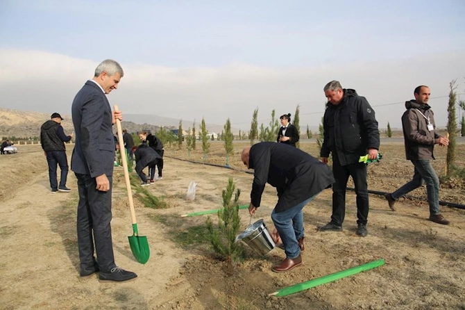 Mədəniyyət Nazirliyi Qobustan Milli Tarix-Bədii Qoruğunda yaşıllaşdırma aksiyası keçirib — FOTOLAR Mədəniyyət Nazirliyi Qobustan Milli Tarix-Bədii Qoruğunda yaşıllaşdırma aksiyası keçirib — FOTOLAR