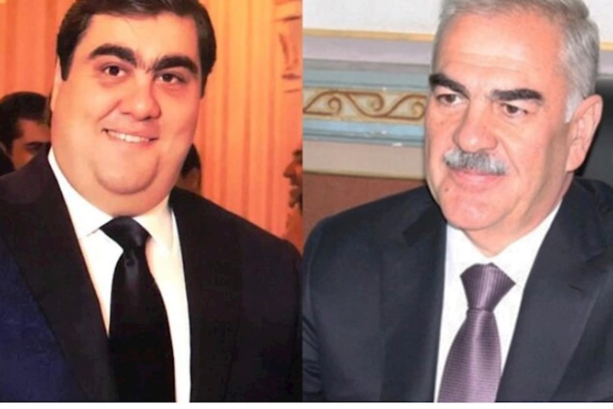 Vasif Talıbovun oğlunun rəhbəri olduğu federasiya ləğv etdi