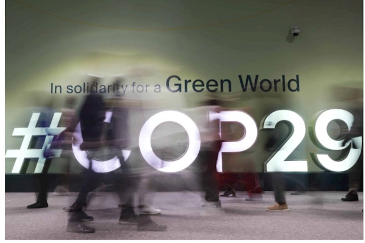 COP29 ərəfəsində ən çox kiberhücuma məruz qalan saytlar AÇIQLANIB