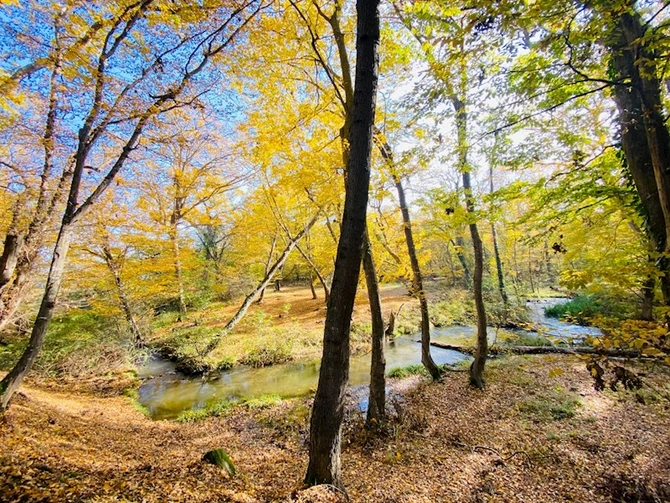 Azərbaycanın milli parklarından rəngarəng GÖRÜNTÜLƏR Azərbaycanın milli parklarından rəngarəng GÖRÜNTÜLƏR