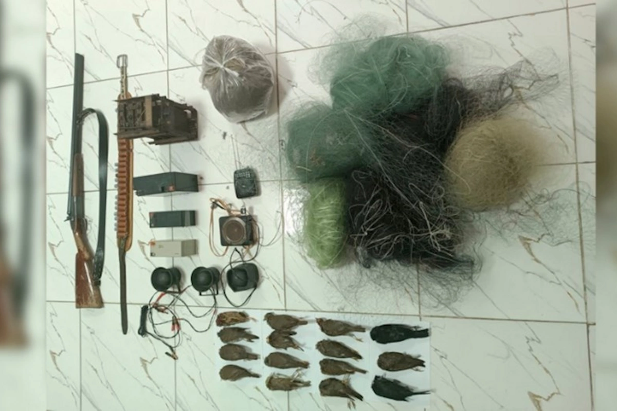 Qanunsuz ov edənlər cəzalandırıldı