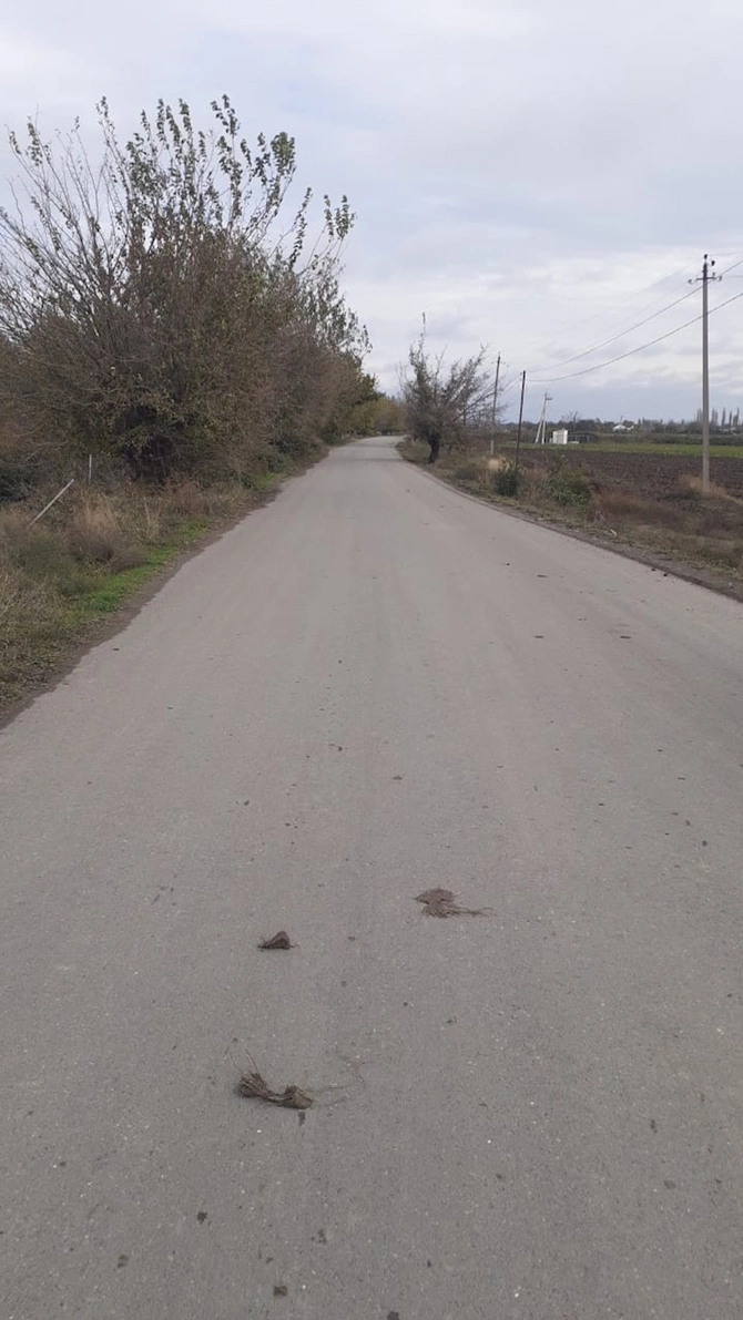 İcra başçısının bacısı oğlu yol qəzasında öldü — FOTOLAR