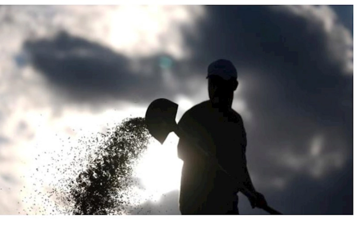 Şimali Koreya Rusiyaya hərbi dəstəyinin əvəzində bu məhsulu alacaq