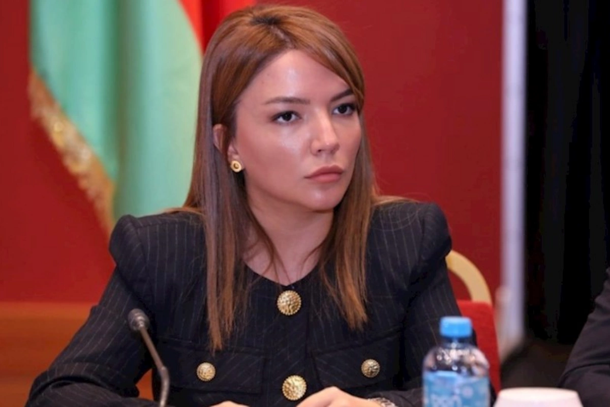 Azərbaycan QHT-ləri 2025-ci ildə 17 fərqli ölkədə 43 tədbir keçirib