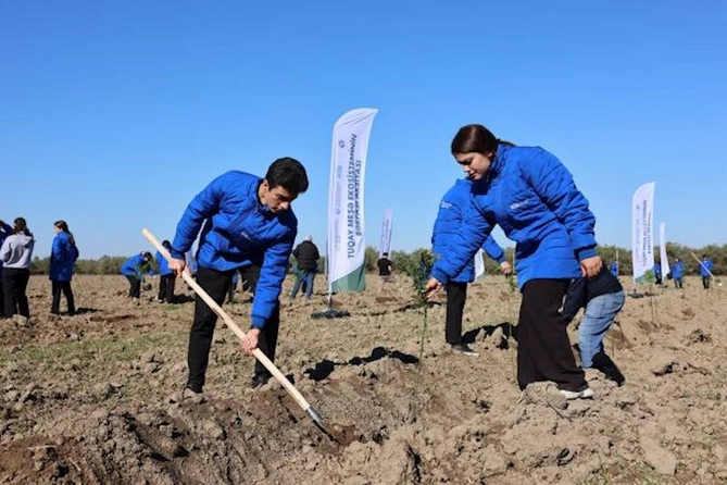 Hacıqabulda Tuqay meşəsinin bərpası aksiyası keçirilib — FOTOLAR Hacıqabulda Tuqay meşəsinin bərpası aksiyası keçirilib — FOTOLAR