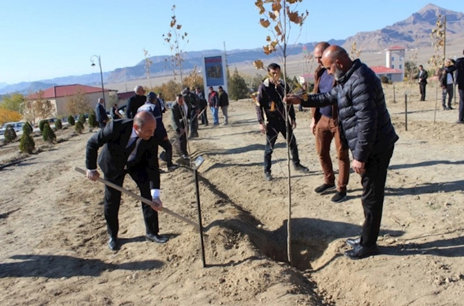 Ordubadda növbəti ağacəkmə aksiyası — FOTOLAR