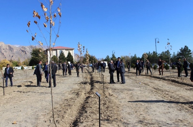 Ordubadda növbəti ağacəkmə aksiyası — FOTOLAR