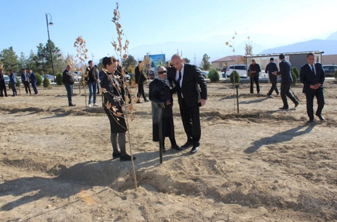 Ordubadda növbəti ağacəkmə aksiyası — FOTOLAR