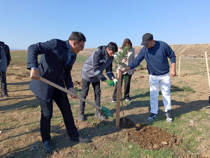 Füzulidə Zəfər bayramı ağacəkmə aksiyası ilə başlayıb — FOTOLAR (VİDEO)