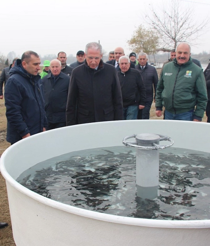 Yevlaxda yeni meşə salınır — FOTOLAR Yevlaxda yeni meşə salınır — FOTOLAR