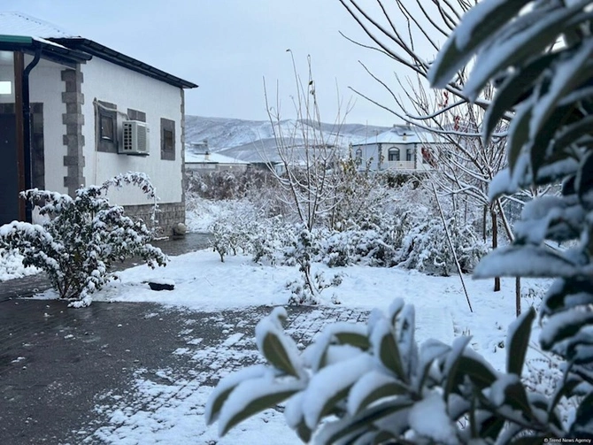 Qarlı Ağalıdan maraqlı FOTOLAR