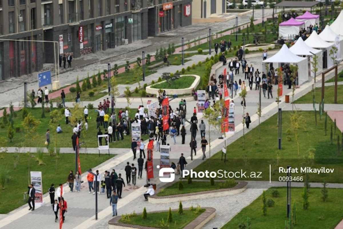 Füzulidə yeni həyat: Məskunlaşma və məşğulluq imkanları