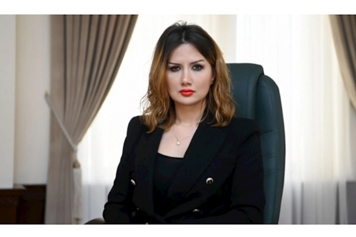 Soydaşlarımızın geri qayıdışı istiqamətində beynəlxalq təşkilatlarda aparılan fəaliyyət davam edir — Ülviyyə Zülfiqar