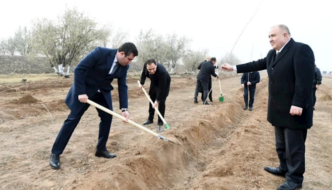 Naxçıvanda Ümummilli Lider Heydər Əliyevin xatirəsinə ağacəkmə aksiyası keçirilib — FOTOLAR Naxçıvanda Ümummilli Lider Heydər Əliyevin xatirəsinə ağacəkmə aksiyası keçirilib — FOTOLAR