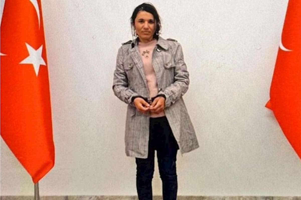 Türkiyə ordusu 6 terrorçunu zərərsizləşdirdi — Biri təslim oldu