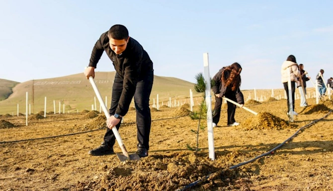 Dünya Torpaq Günü münasibətilə ağacəkmə aksiyası təşkil olunub — FOTOLAR