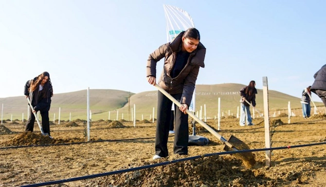 Dünya Torpaq Günü münasibətilə ağacəkmə aksiyası təşkil olunub — FOTOLAR