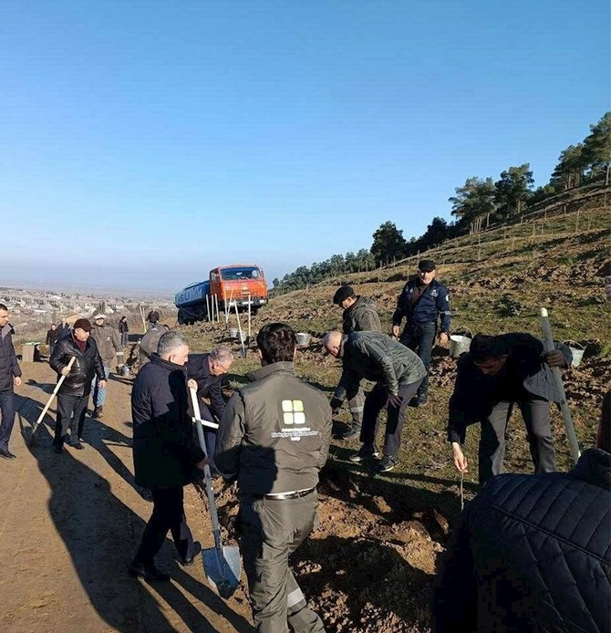 Bu gün meşə fondu torpaqlarında 35 mindən çox ağac əkildi — FOTOLAR Bu gün meşə fondu torpaqlarında 35 mindən çox ağac əkildi — FOTOLAR
