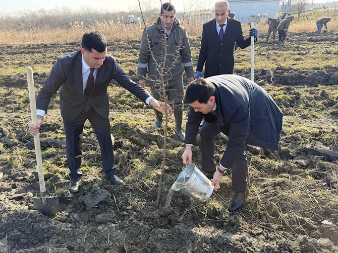 Bu gün meşə fondu torpaqlarında 3 mindən artıq ağac əkilib — FOTOLAR