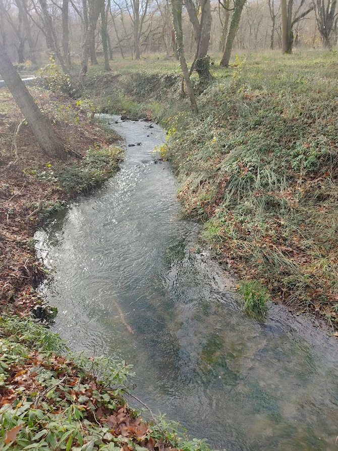 Yaşıl dünya naminə həmrəylik ilində ən çox ziyarət olunan milli parklar — FOTOLAR Yaşıl dünya naminə həmrəylik ilində ən çox ziyarət olunan milli parklar — FOTOLAR