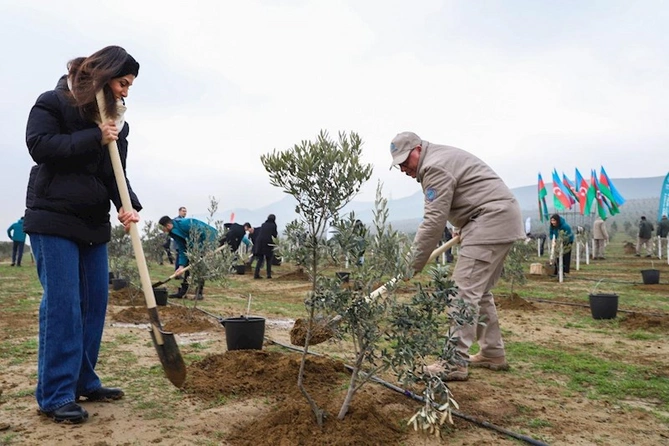 “Yaşıl dünya naminə həmrəylik ili”ndə ağacəkmə aksiyaları davam edir — FOTOLAR