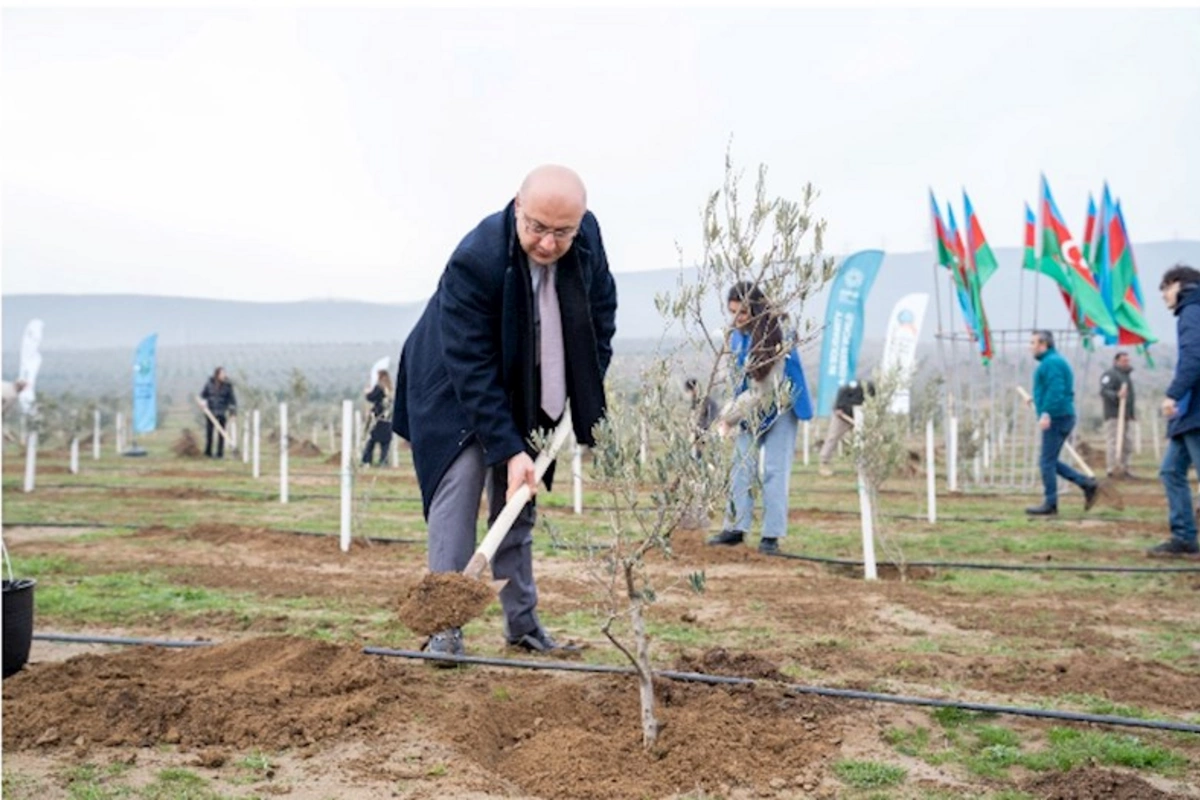 “Yaşıl dünya naminə həmrəylik ili”ndə ağacəkmə aksiyaları davam edir — FOTOLAR