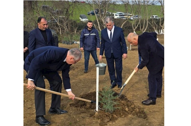 Bir gündə 21 mindən artıq ağac əkilib — FOTOLAR Bir gündə 21 mindən artıq ağac əkilib — FOTOLAR