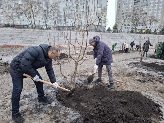 Kiyevdə Azərbaycan-Ukrayna Dostluq Xiyabanı salınıb — FOTOLAR