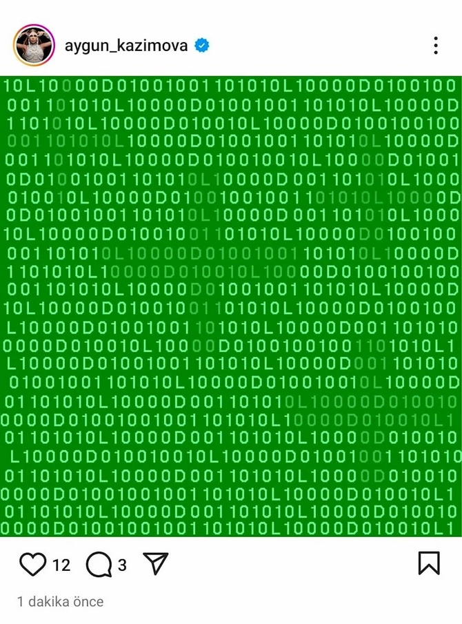 Aygünün səhifəsi yenə oğurlandı: görün nə paylaşırlar — FOTOLAR
