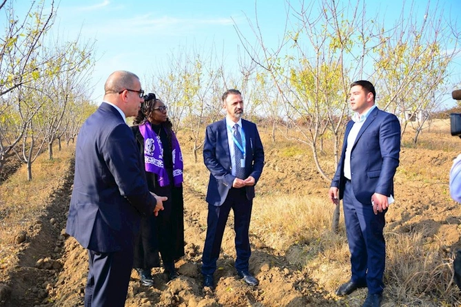 Avropanın məşhur qlobal media portalı Azərbaycandan yazdı — FOTOLAR