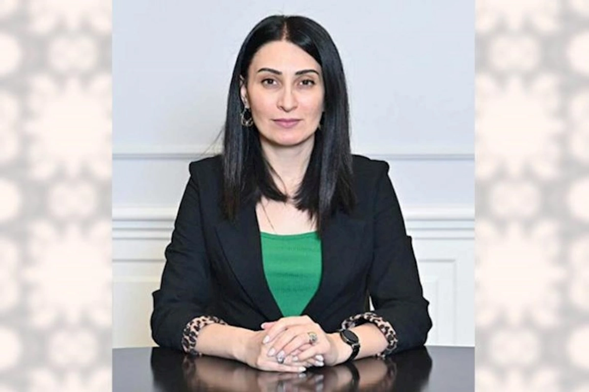 İdeya ver, qrant qazan