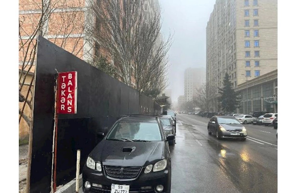 Bakının mərkəzində “yaşıllıq soyqırımı” ola bilər — Ağaclar kəsilmək üçün hasara alındı (FOTOLAR)