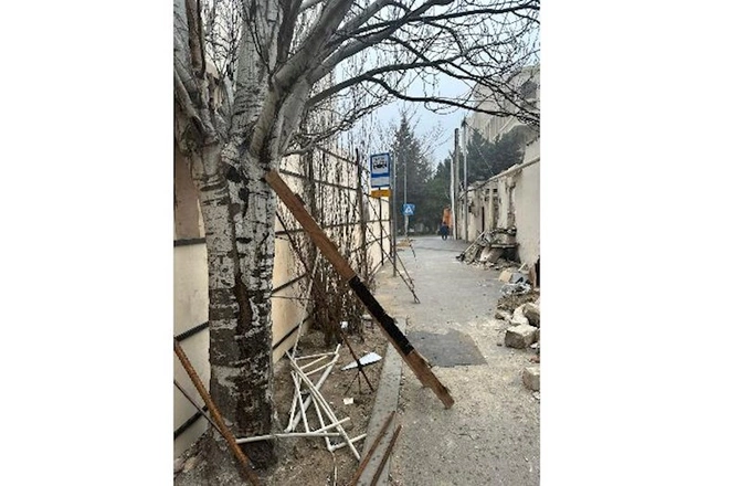 Bakının mərkəzində “yaşıllıq soyqırımı” ola bilər — Ağaclar kəsilmək üçün hasara alındı (FOTOLAR)