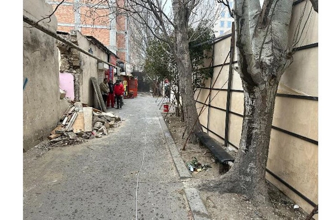 Bakının mərkəzində “yaşıllıq soyqırımı” ola bilər — Ağaclar kəsilmək üçün hasara alındı (FOTOLAR)