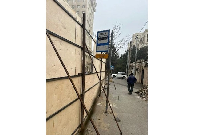 Bakının mərkəzində “yaşıllıq soyqırımı” ola bilər — Ağaclar kəsilmək üçün hasara alındı (FOTOLAR)