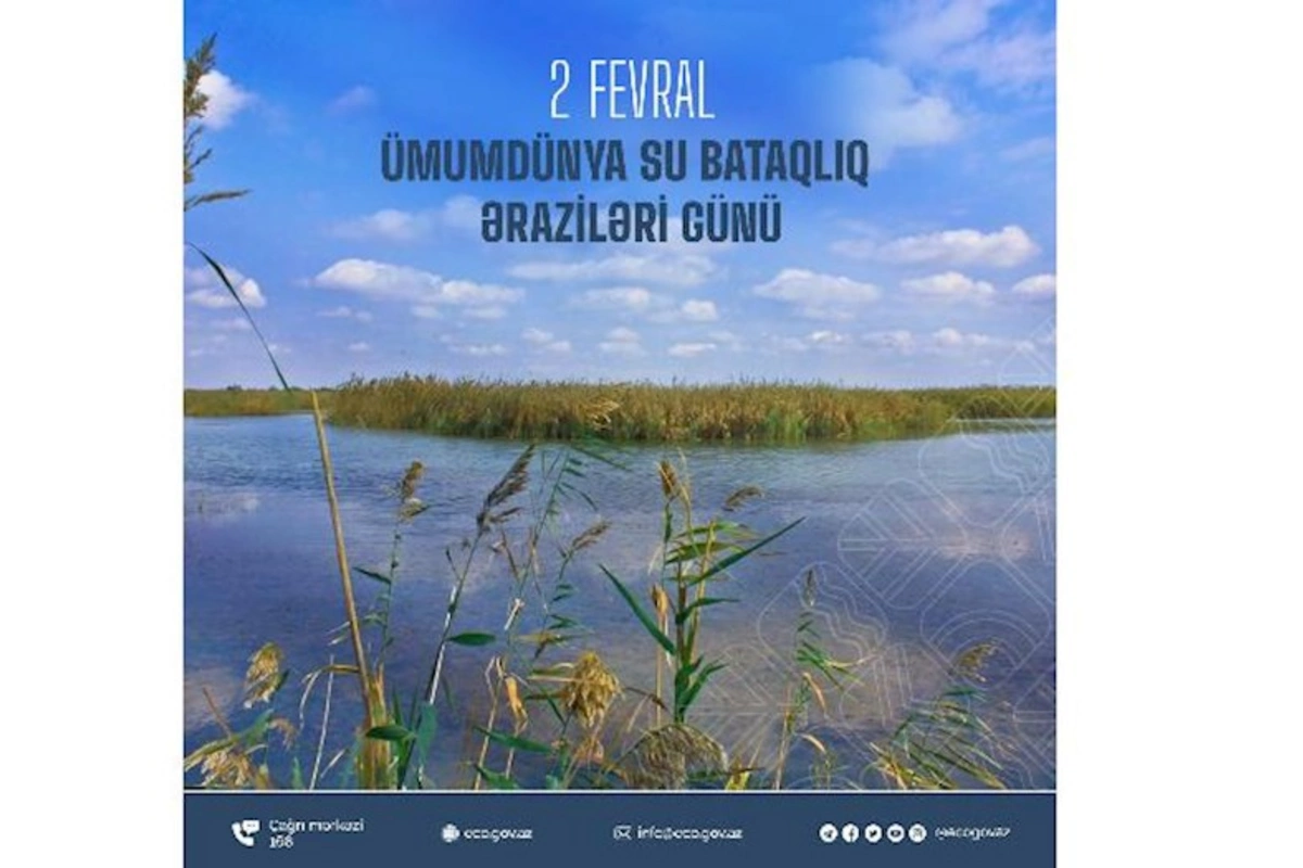 Su-bataqlıq əraziləri biomüxtəliflik cəhətdən çox zəngin ərazilərdir