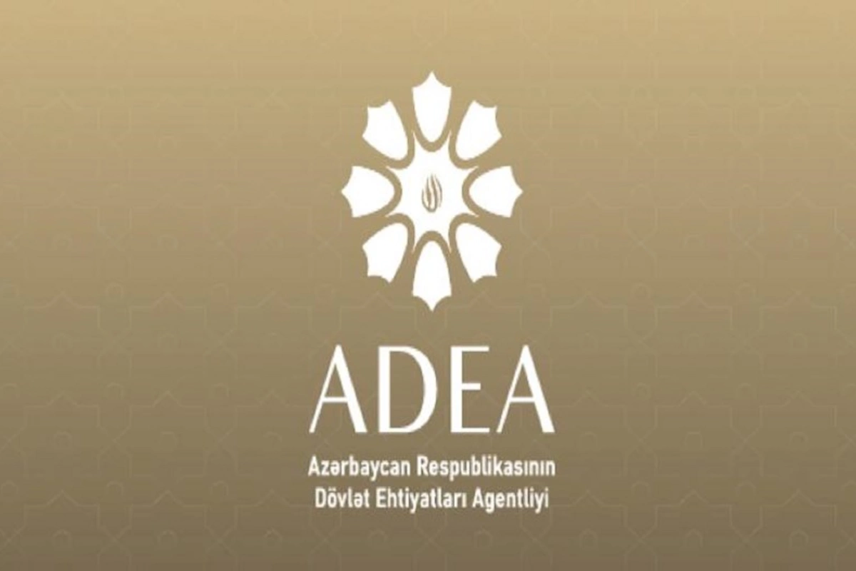 Dövlət Agentliyinin fəaliyyət istiqamətləri genişləndirildi
