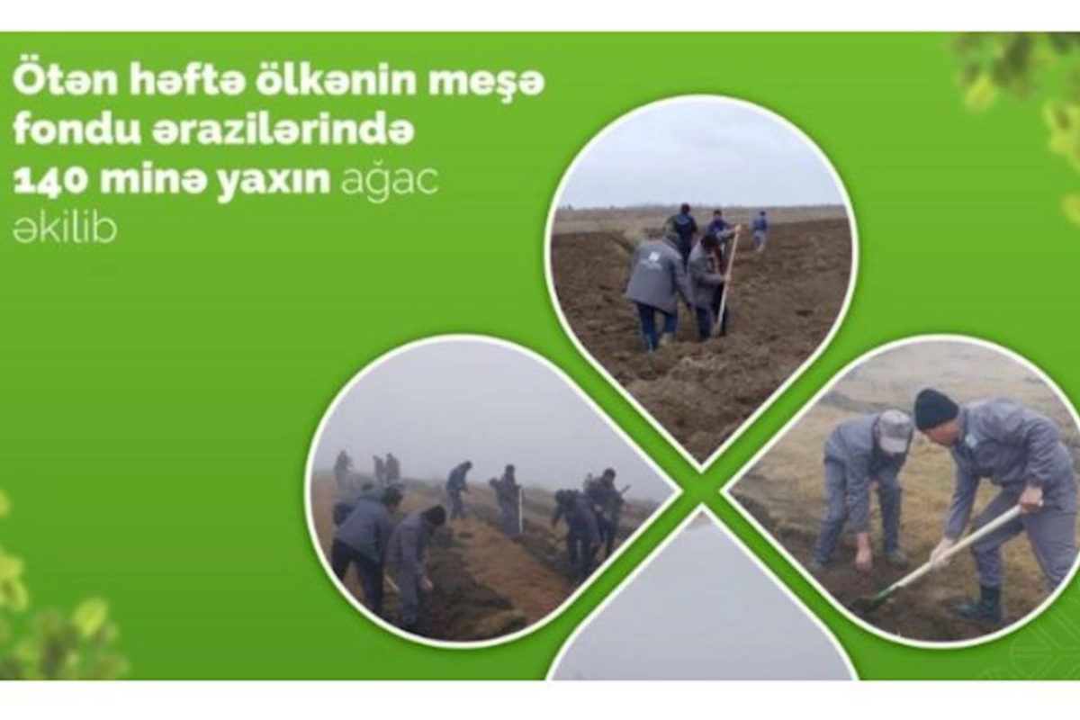 Ötən həftə 140 min ağac əkilib