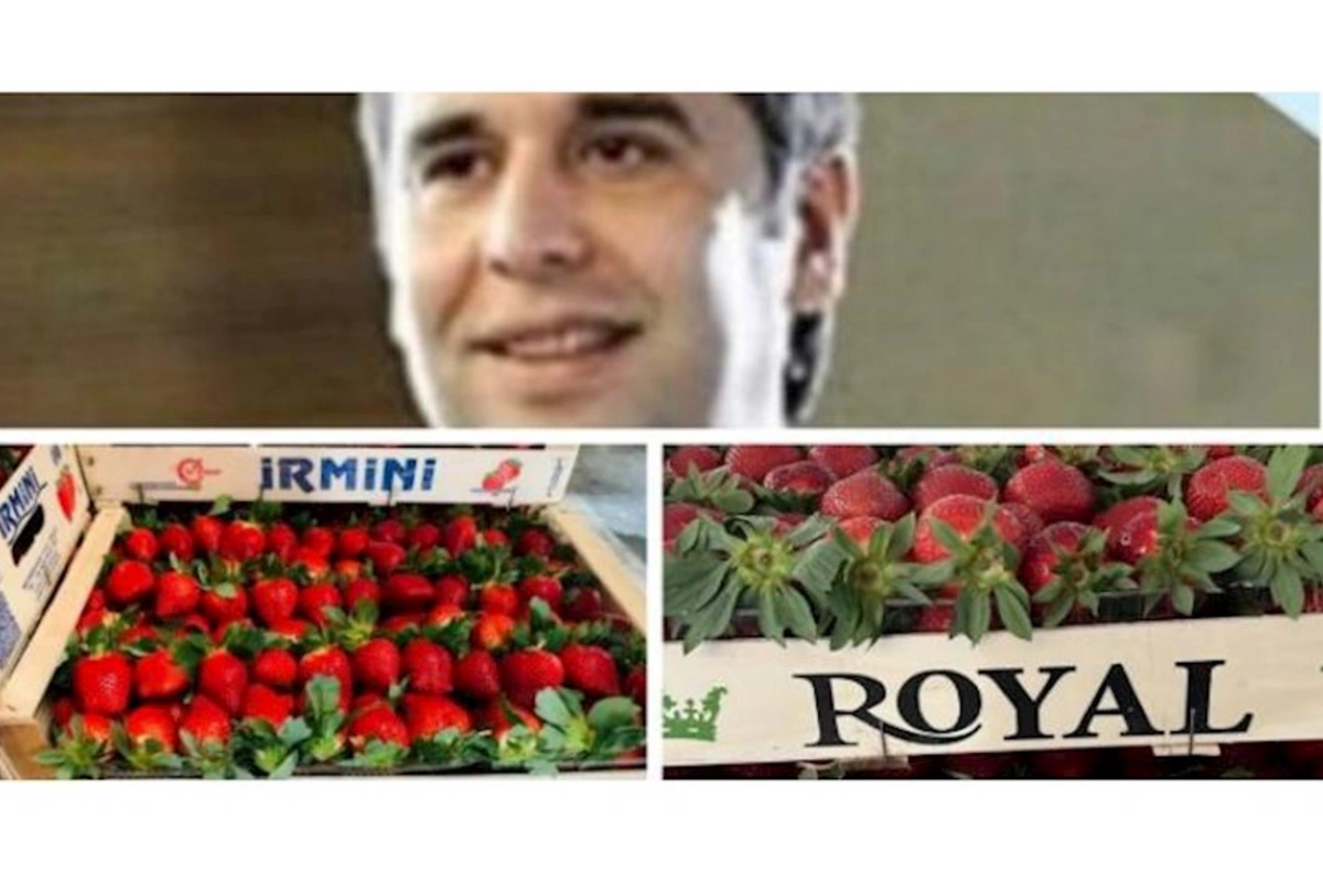 Moskvanın “Food City” bazarında çiyələk monopliyasını yaradan və soydaşlarımızı aç qoyan transmilli şəbəkə…