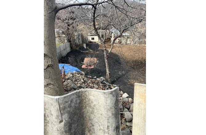 Qanunsuz yolla ağac kömürü istehsal edilən kömür quyuları aşkar edildi — FOTO
