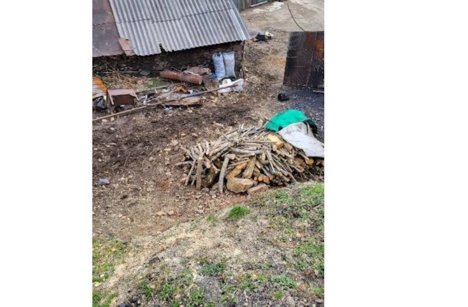Qanunsuz yolla ağac kömürü istehsal edilən kömür quyuları aşkar edildi — FOTO