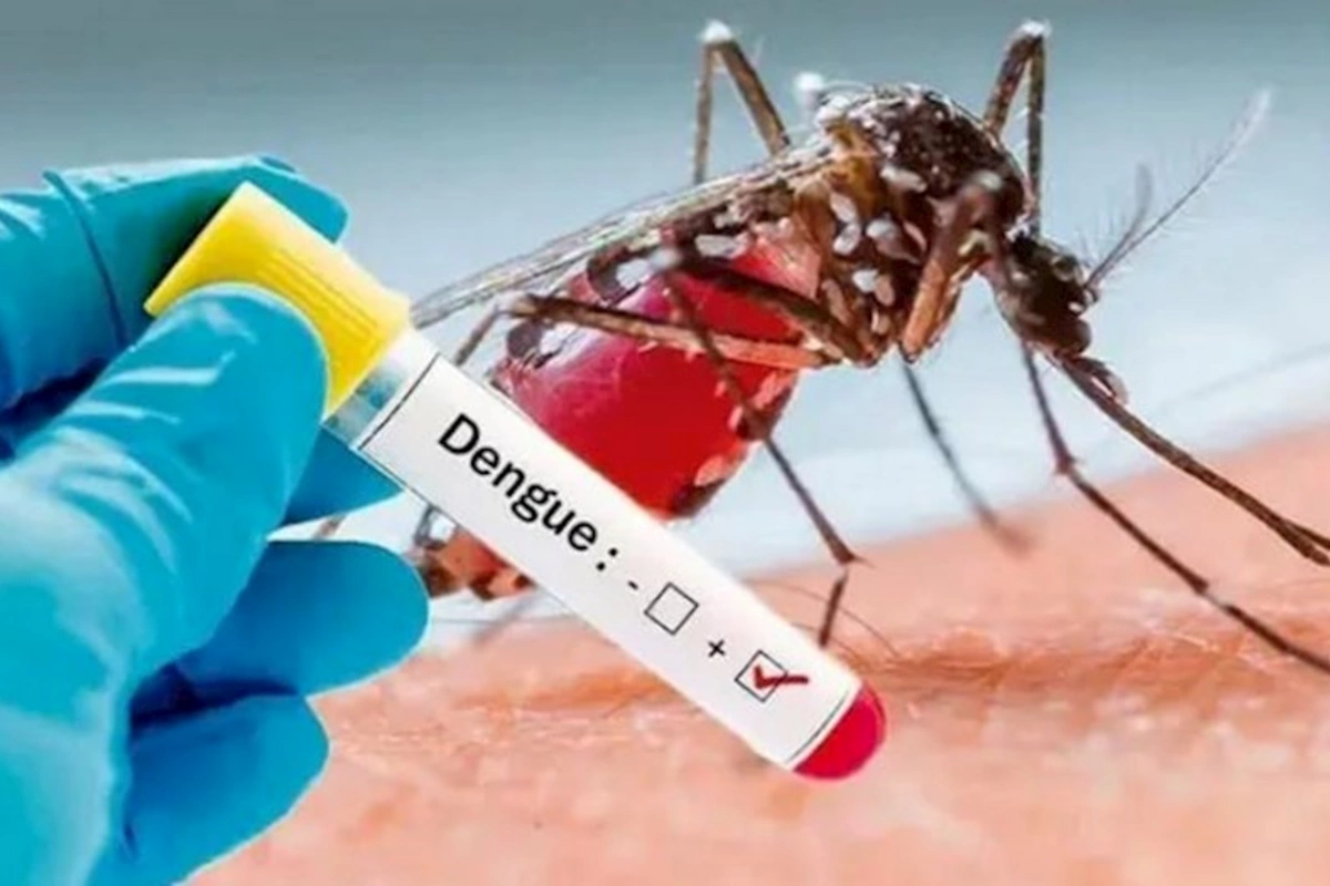 Rio-de-Janeyroda karnavaldan əvvəl epidemiya qeydə alınıb