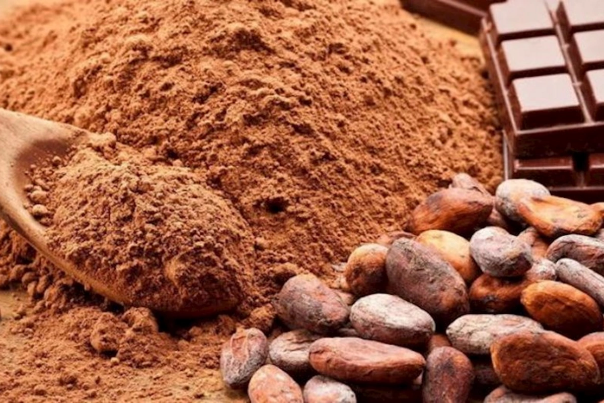 Kakaonun qan təzyiqinə möcüzəvi təsiri AÇIQLANDI