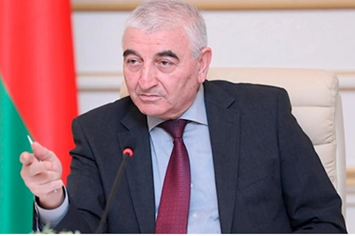 MSK ATƏT-dən azad edilmiş ərazilərdə də seçkiləri müşahidə etməyi tələb edir